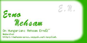 erno mehsam business card